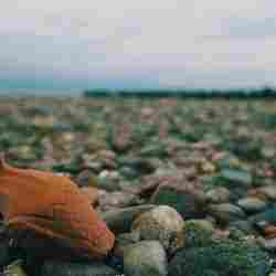 FRENCH BOAT FIGUREHEAD (SEASON 4 EPISODE 10)