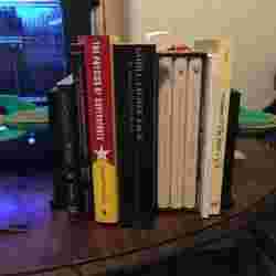 Futurama Planet Express Bookends