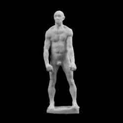 Jean d'Aire Nude Study at The Musée Rodin, Paris