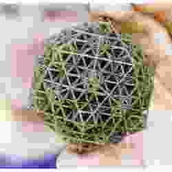 QSN - 3D Printer Torture Test Art (Quasicrystalline Spin Network)