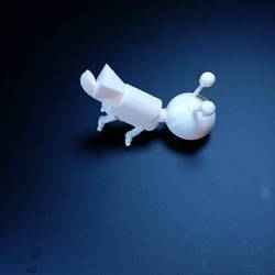 Spectacular Densor-Duup