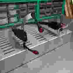 Tony Stark Jarvis Headset (Ironman)