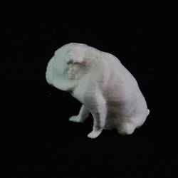 Xinfeng Doggy Scan