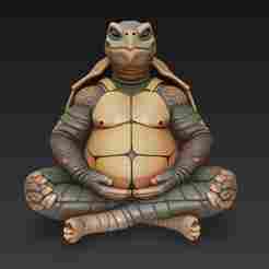 Meditating Turtle man TMNT