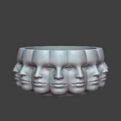 Multi-faced plant vase