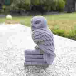 Professor Hootsworth (Owl on Books)