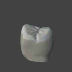 Second PREMOLAR SUPERIOR  - 3D Design