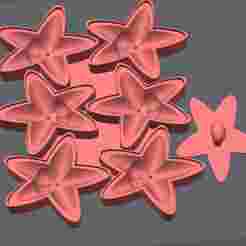 Sorrentino Patricio Starfish CONICET