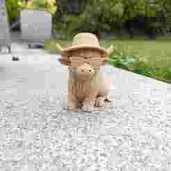 Summer Cow — the  Vacation Highland Cow