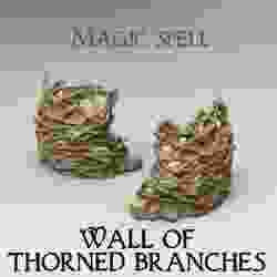 Magic Spell : Wall of Thorned branches