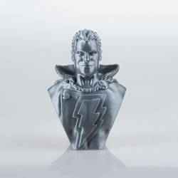 Shazam bust