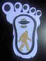 Crescent moon hairpin \ fork pin Multicolor