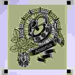 Aquarius zodiac sign stencil / multicolor