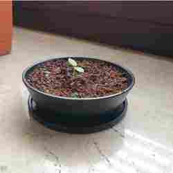 Bonsai Nursery Pot