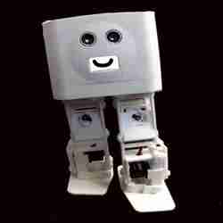 BORIS the Biped for Beginners and Beyond