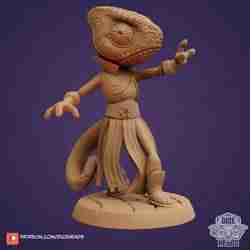 Chameleon Sorcerer (pre-supported included)