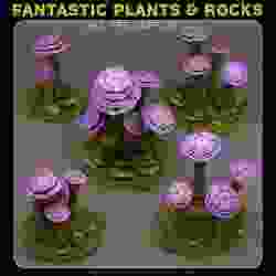 FAERIES MUSHROOMS