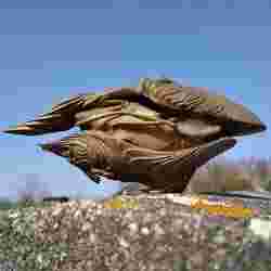 Living Ship | No Man's Sky