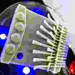 Mbira_Resin_Sm [SelfCad]