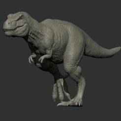TYRANNOSAURUS REX 11