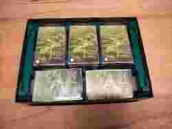 Biome (Standard version) - Insert that fits sleeved cards