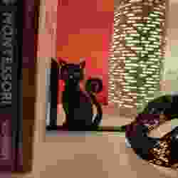 Cat Bookends - Cat - 3D Printed - Book Storage - Nursery Decor - Children's Bedroom - Gifts for boys - Gifts for girls - Birthday