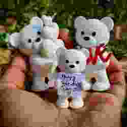 Sevgililer Günü Özel - Oyuncak Ayı Koleksiyonu 02