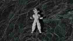 Bills Dragon Ball Z #13 Optimized for 3D Printing