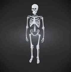 SMARTPHONE CHARGER/HOLDER (OPTIMIZED)