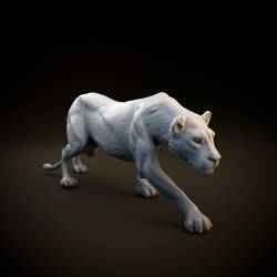 Lioness sneaking - pre supported