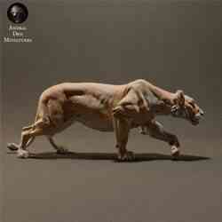 Lioness