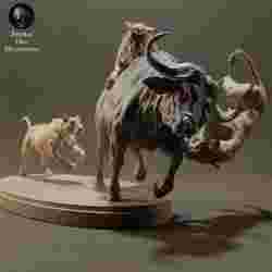 Lionesses Hunting Cape Buffalo