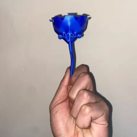 Rose M