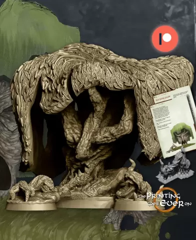 Old Silver Sallow (2 roots included)