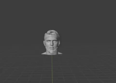 LUKA DONCIC BUST