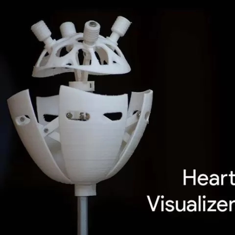 Heart Visualizer | See your heart beat