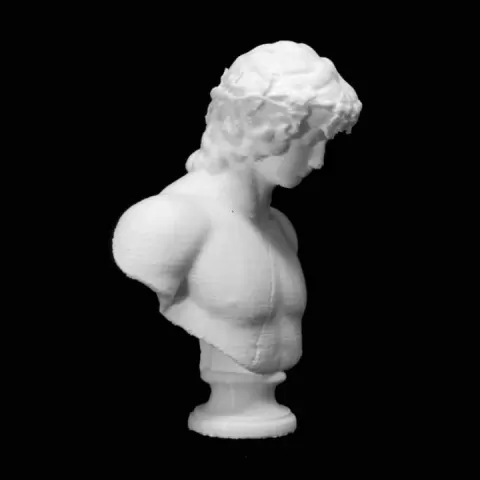 Portrait of Antinous at The State Hermitage Museum, St Petersburg by Scan The World