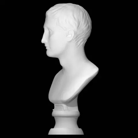Bust of Menander at The State Hermitage Museum, St Petersburg by Scan The World
