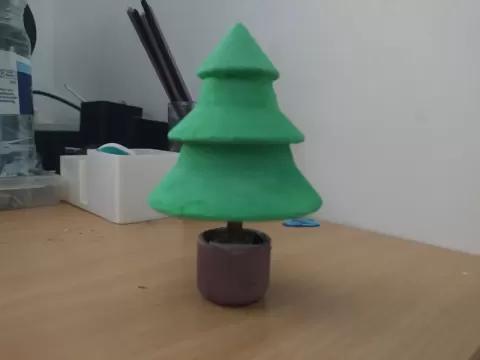 A tree in a pot