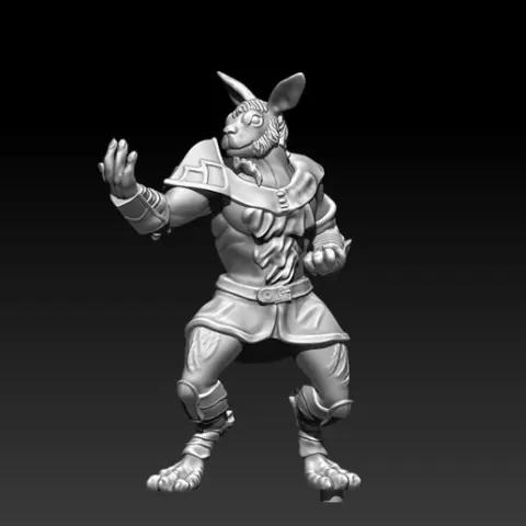 Bunny example