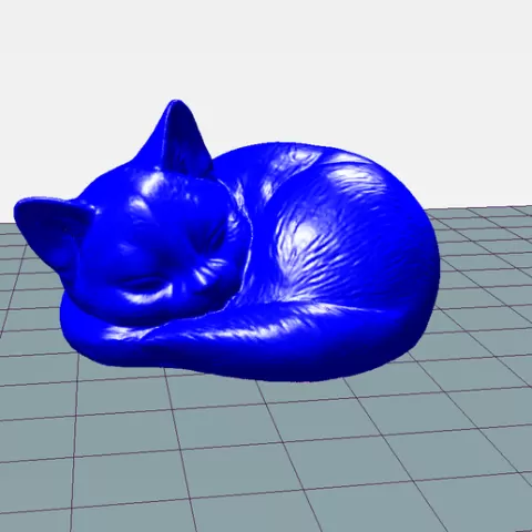 CAT SLEEPING