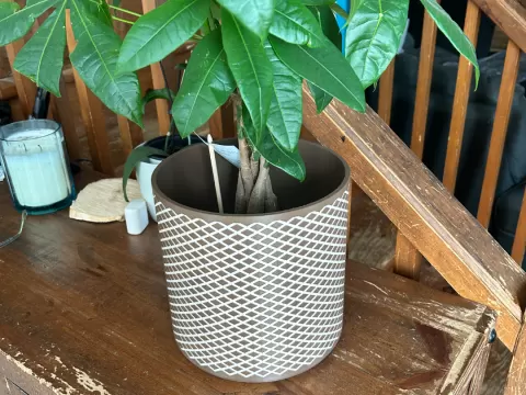 pot a fleurs
