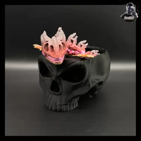 Skull Container Box 💀 by EndK7