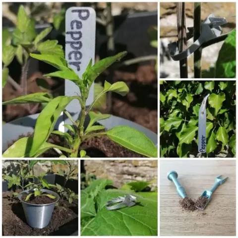 Garden Seed Starter Set