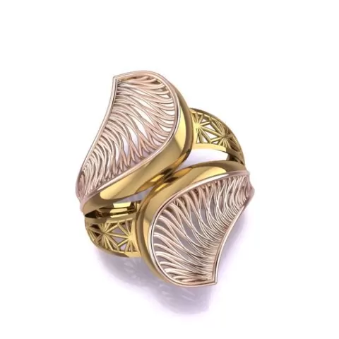 ring 3d