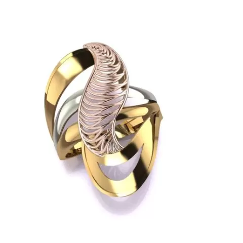 ring 3d