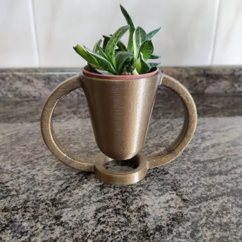 Floating Effect Cactus Pot