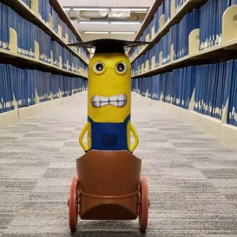 minion chariot (balance robot)