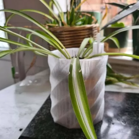 Self Watering Spiral Planter