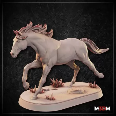 Horse